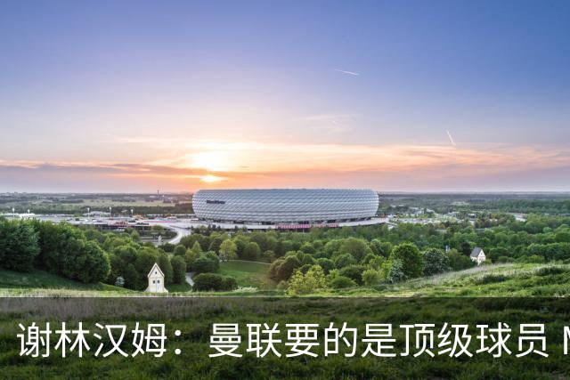 谢林汉姆：曼联要的是顶级球员 M费不够好没必要为错过他沮丧