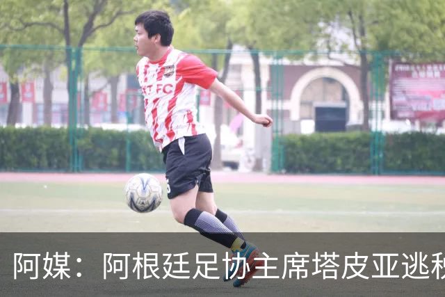 阿媒：阿根廷足协主席塔皮亚逃税上诉被驳回，确认将被起诉
