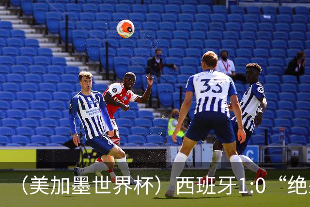 （美加墨世界杯）西班牙1:0“绝杀”葡萄牙 C罗结束世界杯征程
